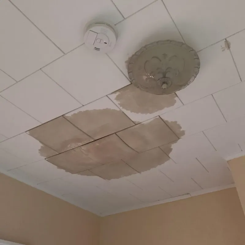 Ceiling Water Damage Repair in Sunset, UT