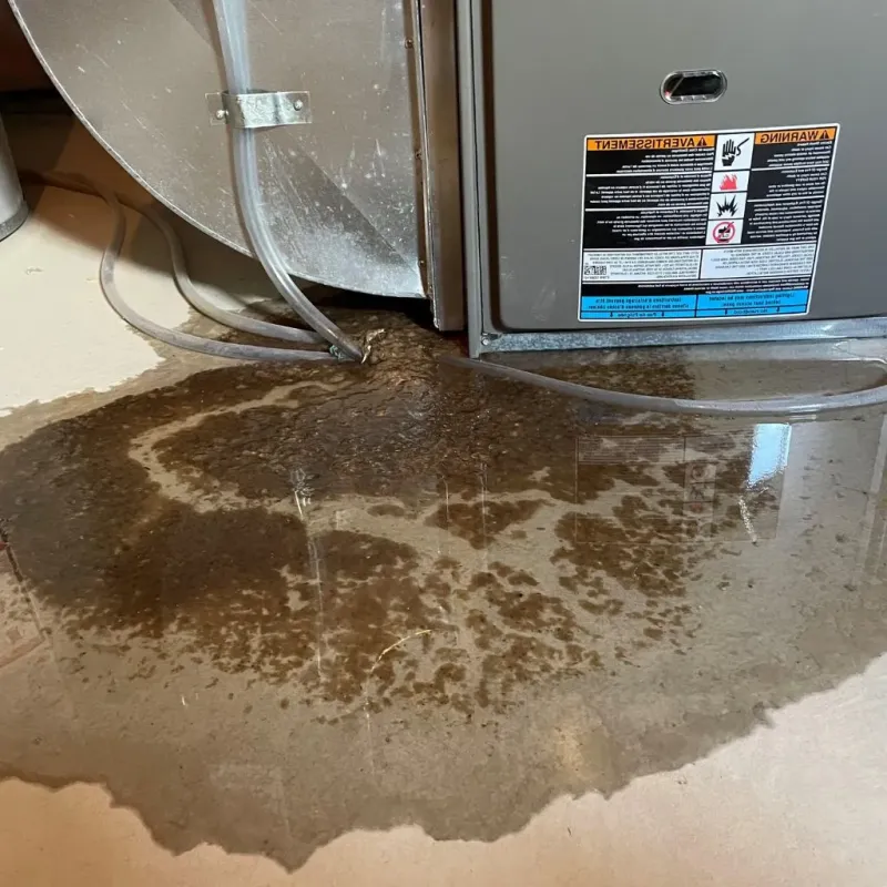 Pipe Burst and Leak Restoration in Sunset, UT