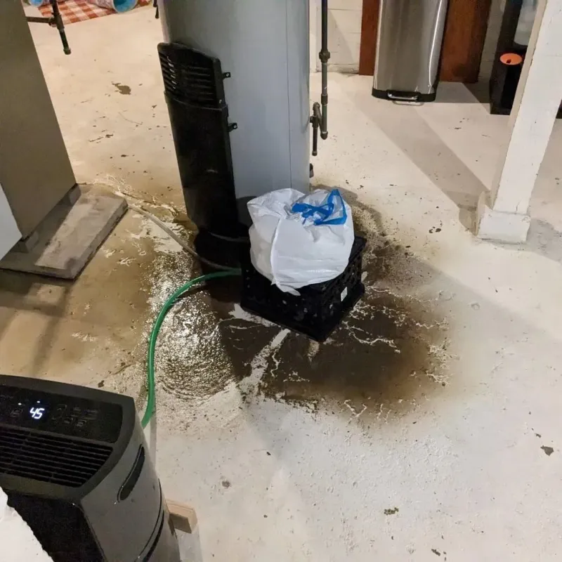 Sewage Backup Cleanup Service in Sunset, UT